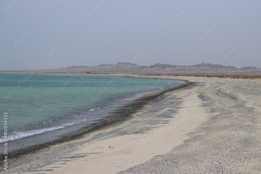 Birds at the beach at Masirah island in Oman