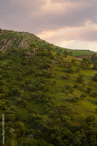 Landscape view and green mountain for background pictures
