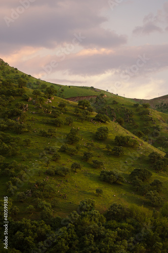 Landscape view and green mountain for background pictures