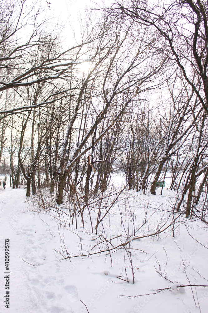 Snow fell in the forest. Branches of trees in ice and snow. The path is trodden deep into the forest.
Snow fell in the forest. Branches of trees in ice and snow. The path is trodden deep into the forest.