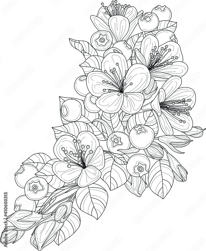 Realistic cherry flowers and berrier with leafs sketch template. Cartoon graphic vector illustration in black and white for games, background, pattern, decor. Coloring paper, page, story book, print