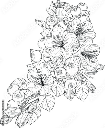 Realistic cherry flowers and berrier with leafs sketch template. Cartoon graphic vector illustration in black and white for games  background  pattern  decor. Coloring paper  page  story book  print