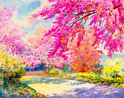 Watercolor original landscape painting pink color of Wild himalayan cherry