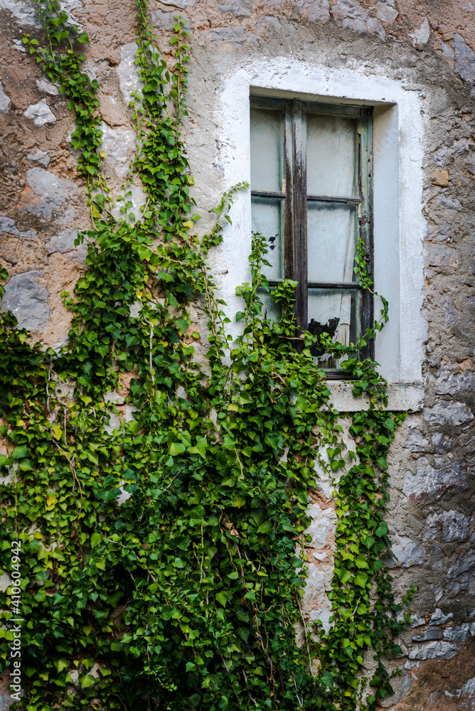 Stone house with ivy, Mali Iz, Island of Iz, Zadar archipelago, Dalmatia, Croatia