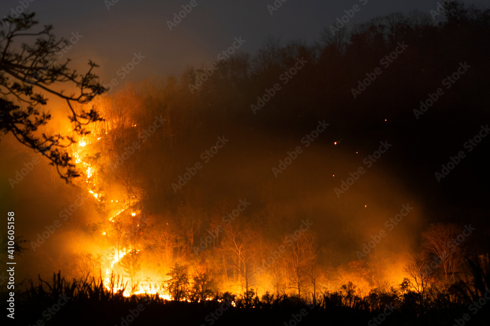Fire burning a lot of tree in forest on mountain in dark night.