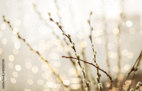 Canvas Print flora, plants and easter concept - close up of pussy willow branches over bokeh