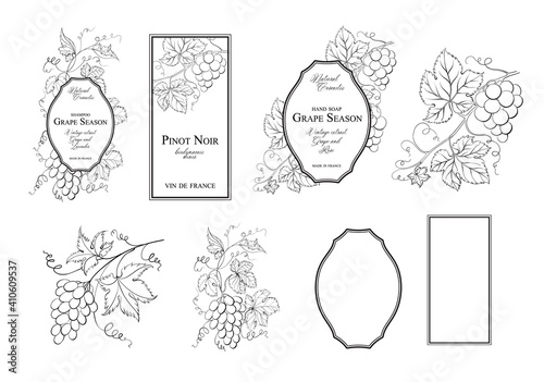 Design label with grapes frame. Vector illustration.