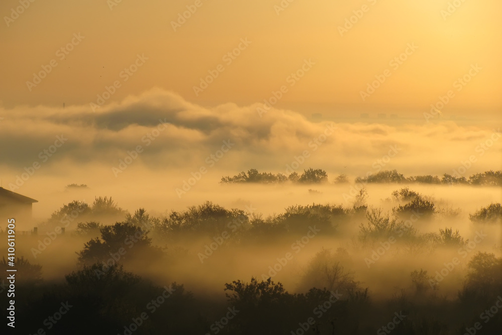 Golden mist landscape early morning sunrise