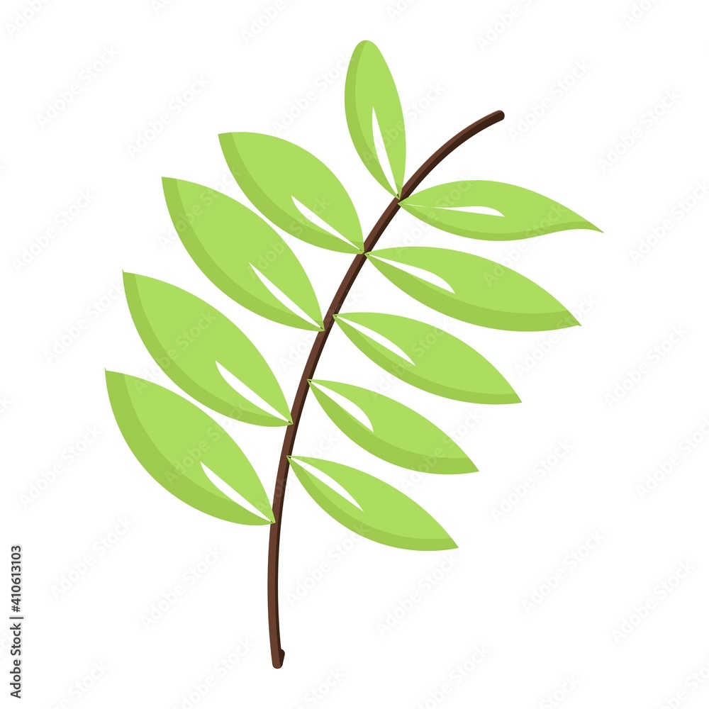 Fototapeta premium Leaves icon vector isolated on white background. Elements for eco and bio logos.
