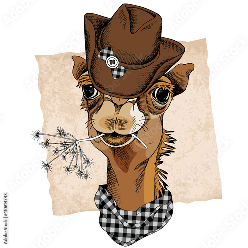 Camel portrait in a cowboy hat and with branch. Vector illustration.