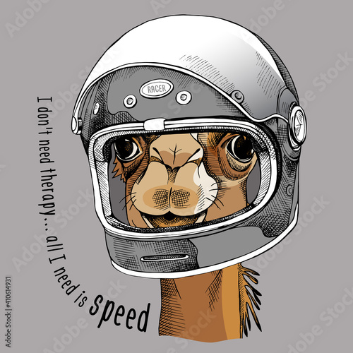 Camel portrait in a racer modern helmet. Vector illustration.