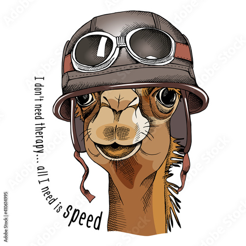 Camel portrait in a racer retro helmet. Vector illustration.