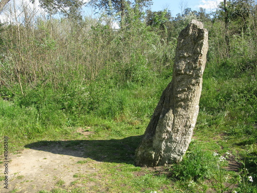 Fotografie, Obraz Menhir dans une clairière de la forêt de Sauveterre (Vendée)