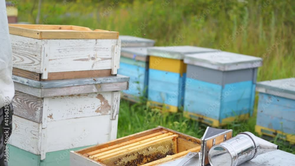 Man in apiary protective clothes cleans honeycomb with brush. Selective focus on wooden frame for collecting honey. Man in apiary protective clothes cleans honeycomb with brush. Selective focus on wooden frame for collecting honey.