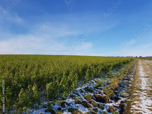 landschaft, himmel, natur, feld, gras, wiese, sommer, blau, cloud, wald, road, baum, green, herbst, bäuerlich, cloud, schön, wasser, land, baum, gegend, horizont, berg, see, ausserhalb