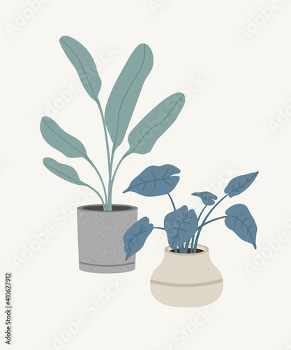 Vector illustration of the flowerpots with dieffenbachia and alocasia, isolated on a beige background. Concept of home flower, springtime gardening, floriculture. Hand-drawn set in flat style.
