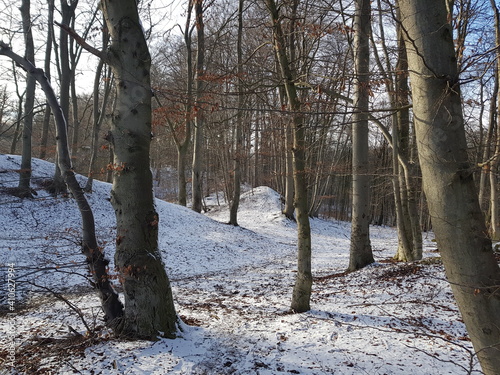 winter, schnee, wald, baum, erkältung, landschaft, baum, natur, frost, weiß, park, jahreszeit, bahn, gefroren, eis, road, holz, schneebedeckt, szene, ast, himmel, blau, holz, frostig