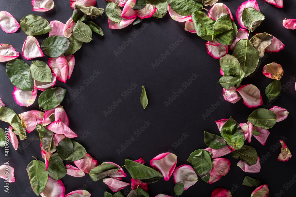 A circle of rose petals. Screensaver for writing. Place to write text. Top. Flat lay. - obrazy, fototapety, plakaty 