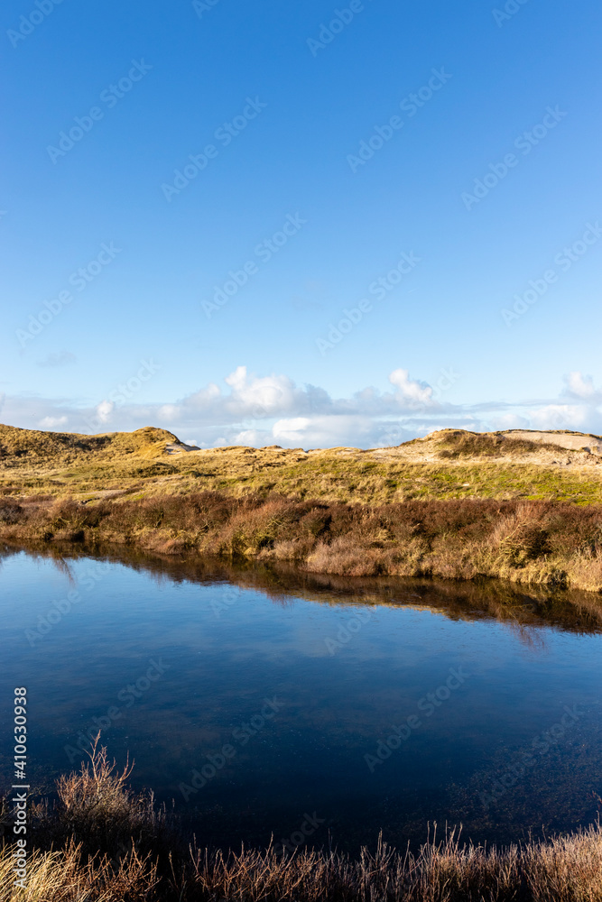 Dune landscape in Bergen aan Zee, Noord-Holland, The Netherlands, Europe