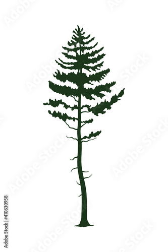 green pine tree silhouette icon