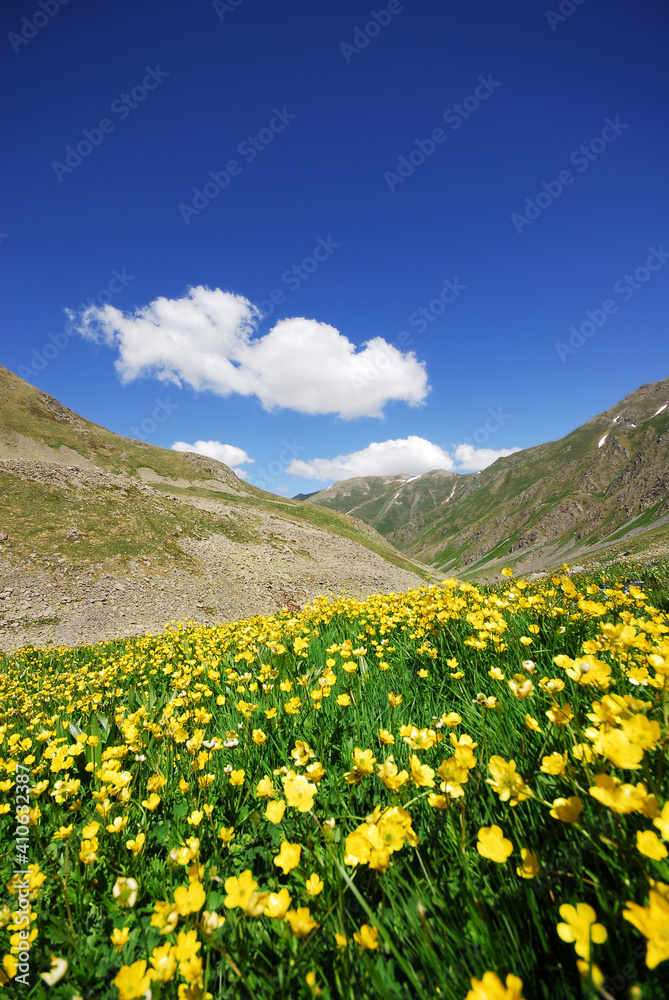 Kackar Mountains National park. Olgunlar, Artvin Turkey.