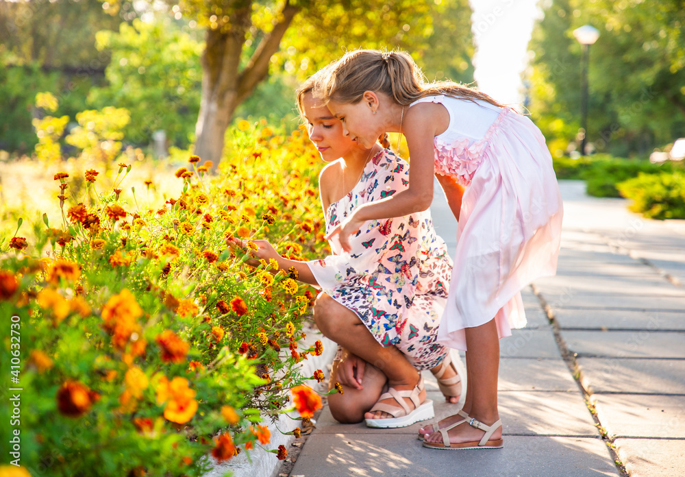 Cute adorable girls in pink delicate dresses sniff wonderful fiery marigolds in a bright summer park on a sunny day on a long-awaited vacation Cute adorable girls in pink delicate dresses sniff wonderful fiery marigolds in a bright summer park on a sunny day on a long-awaited vacation