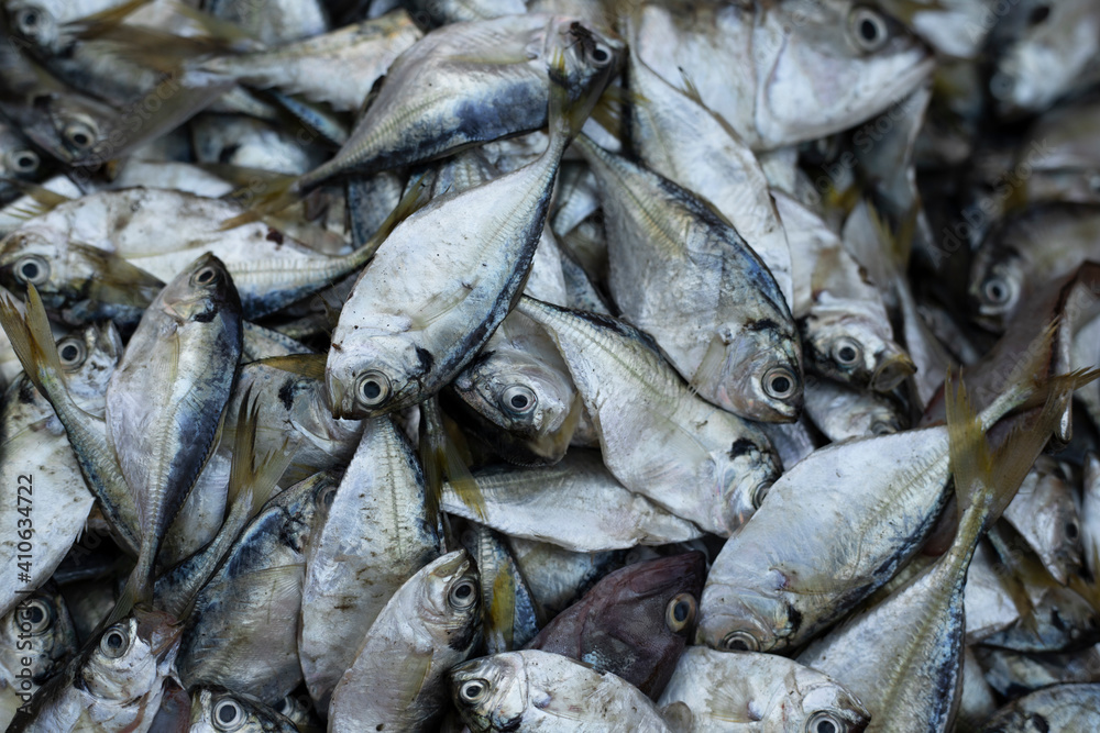 Obraz premium macro photo of fresh fish at the market