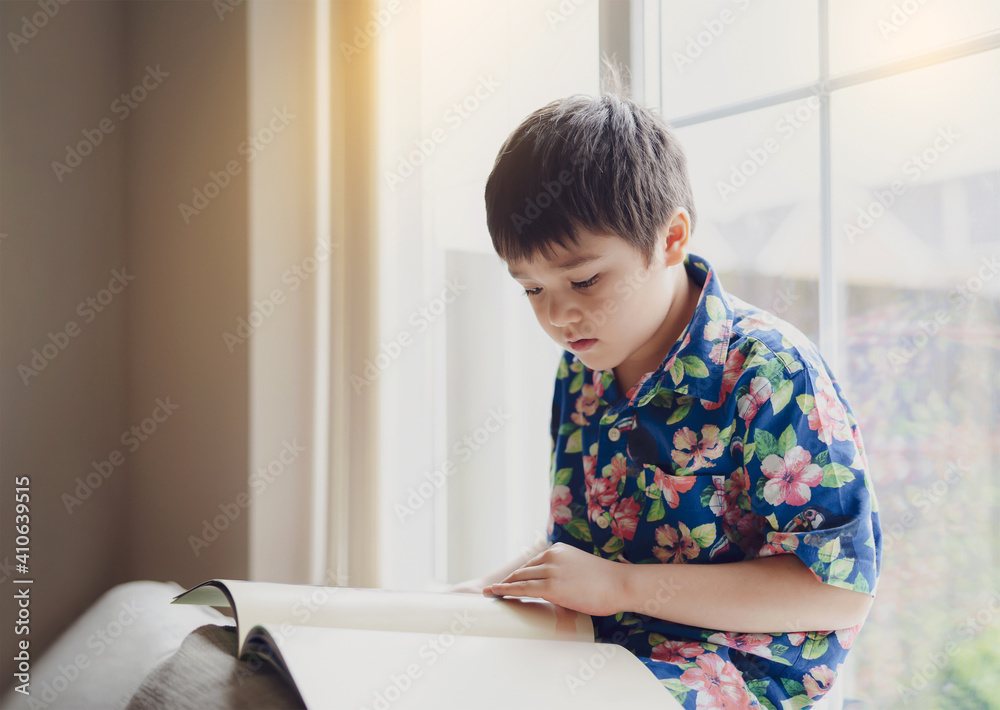 Authentic Kid reading a book with bright light shining in the morning,Happy boy sitting next to window reading a story or cartoon, Hight key light Child siting on sofa relaxing at home on Summer Authentic Kid reading a book with bright light shining in the morning,Happy boy sitting next to window reading a story or cartoon, Hight key light Child siting on sofa relaxing at home on Summer