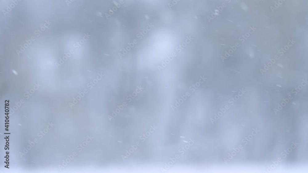 Slow motion of falling snow, blurred background in winter, fabulous season.new Slow motion of falling snow, blurred background in winter, fabulous season.new