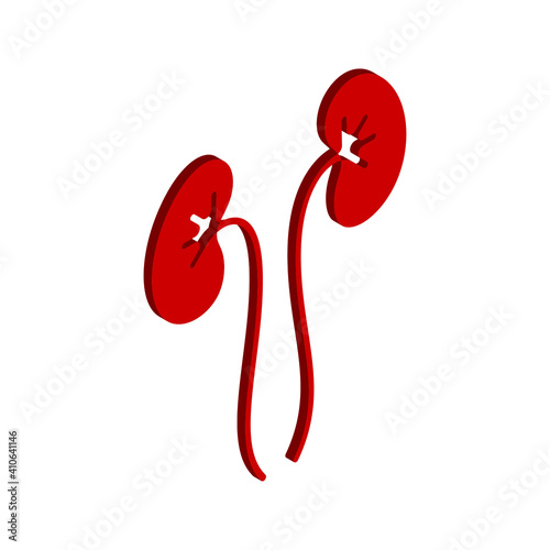 Kidneys icon isolated on white background. for medical sign. vector illustration