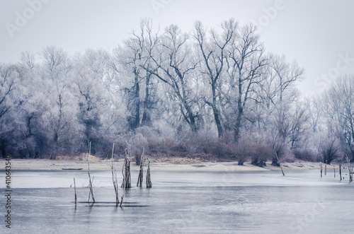 The first snow over the tributary of the Danube near the city of Novi Sad, Serbia 