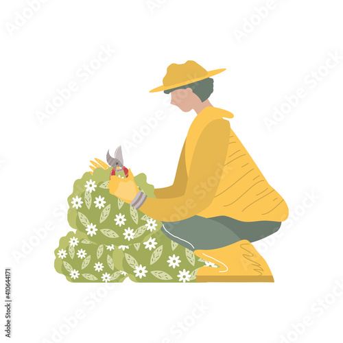 home garden, gardener with scissors trimming bushes and flowers