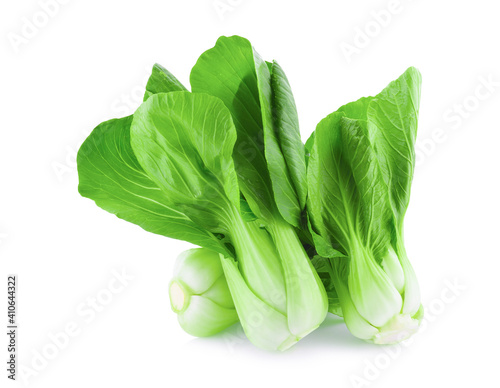 Bok choy vegetable on white background