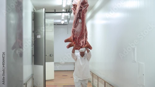 Meat production and food industry, worker moves a suspended pig carcass, meat processing plant. photo