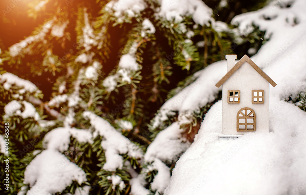 symbol of the house stands on a snow-covered fir branches
