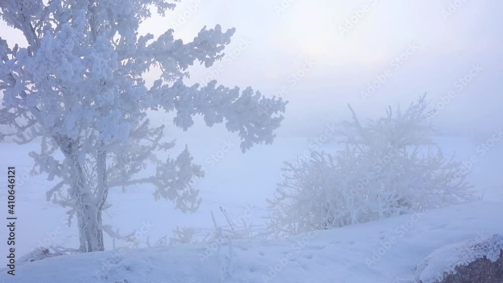 Fog on the river on a frosty winter day. Fog drifts down the river on a cold winter day. Fog on the river on a frosty winter day. Fog drifts down the river on a cold winter day.
