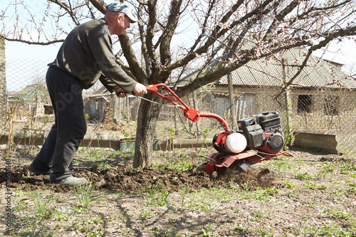 A man with tractor motoblock works in the garden. cultivates the soil. photo