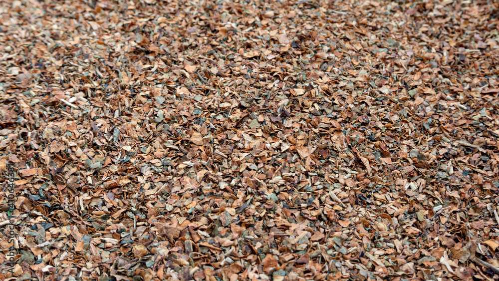A closeup image of yellow chewing tobacco leaf A closeup image of yellow chewing tobacco leaf
