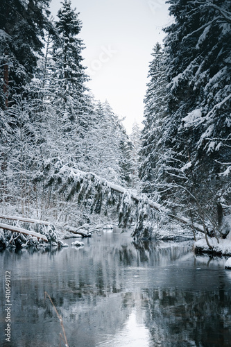 Taevaskoda and its nature in Estonian winter photo