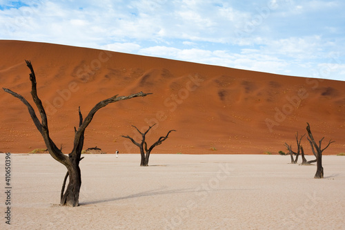 Deadvlei Landschaft in Afrika