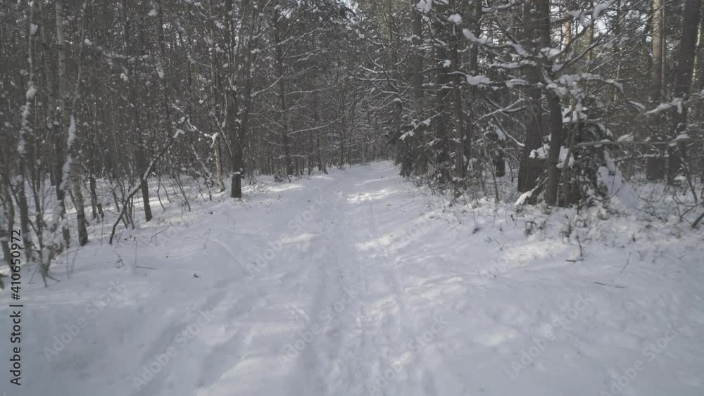 Winter forest. Moving camera over the snow. Winter forest. Moving camera over the snow.
