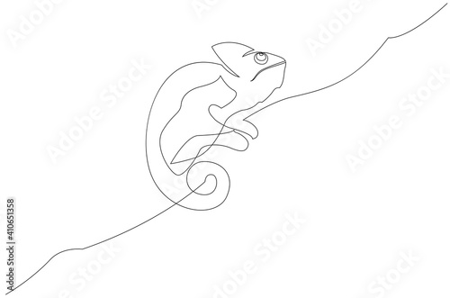 One line drawing of chameleon. Continuous line illustration on white background.