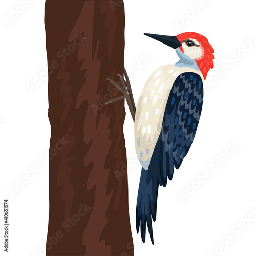 Woodpecker, bird on a tree, red head, black and white heating. Forest wild bird. Vector object on a white background.