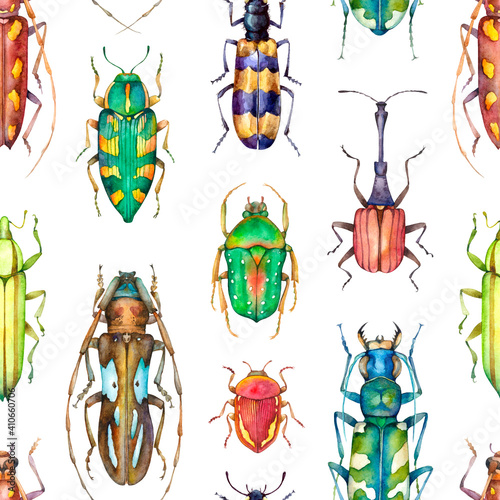 Watercolor seamless pattern with colorful beetles on white background. Hand painted insect illustration isolated on white background. © Екатерина Роменская