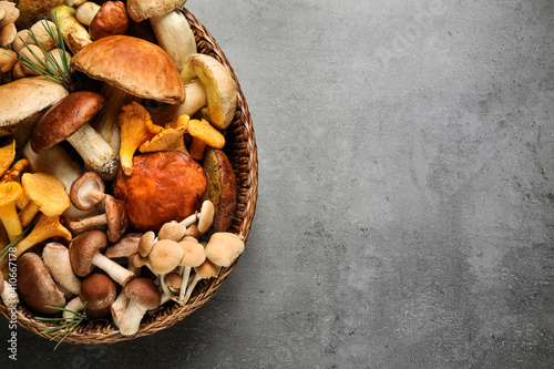 Different fresh wild mushrooms on grey table, top view. Space for text