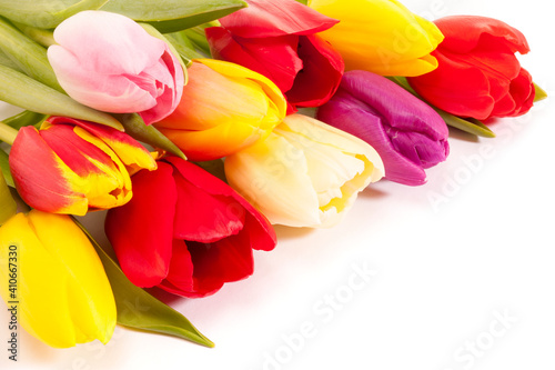 Fototapeta Naklejka Na Ścianę i Meble -  tulip flowers as present