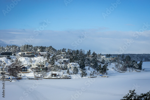 Winter snowy landscape of Swedish coast. The shore of Baltic sea overgrown with pines and firs covered with snow. Traditional wooden houses surrounded by forest. Scandinavia in the winter season.