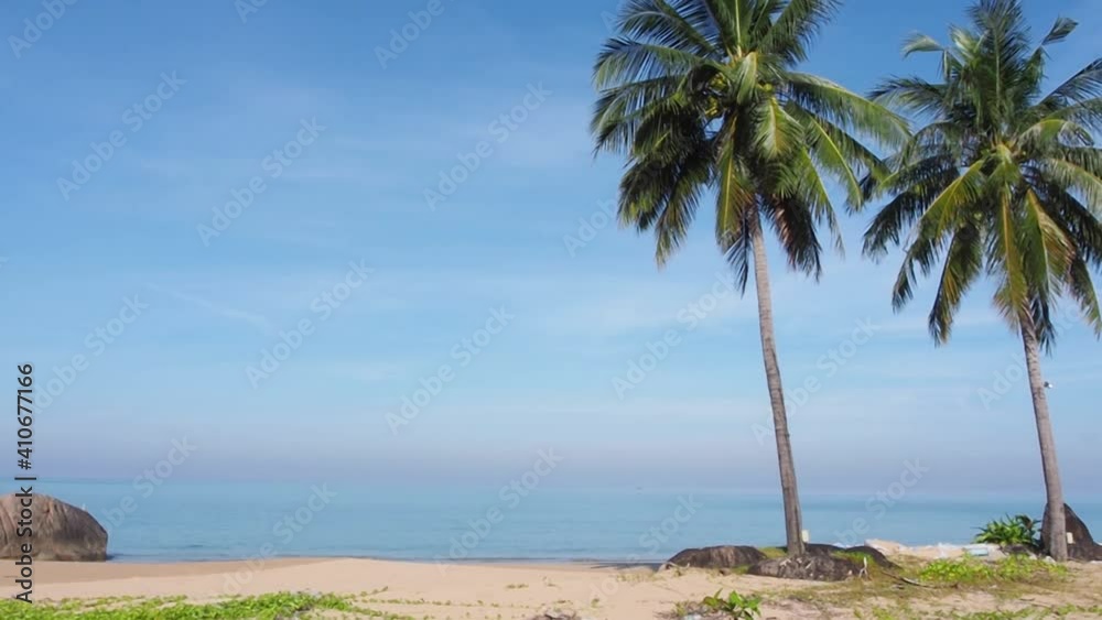 two beautiful palm trees, tall coconut trees standstill at a beachfront with pastel colorful blue sky and soft calming sea on a sunny day. seascape nature background for traveling to beach in vacation two beautiful palm trees, tall coconut trees standstill at a beachfront with pastel colorful blue sky and soft calming sea on a sunny day. seascape nature background for traveling to beach in vacation