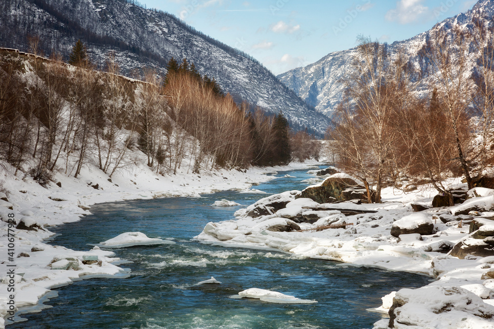 Fototapeta premium Winter landscape. River in Altai on a sunny day. Russia
