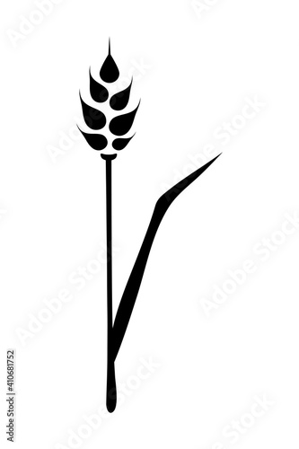 Black ears of wheat. Vector illustration on white isolated background